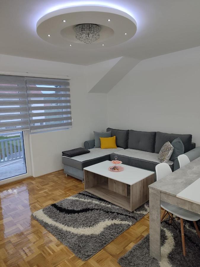 Stan Na Dan Elena Apartment Lukavica Luaran gambar